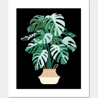 Monstera deliciosa variegata Posters and Art